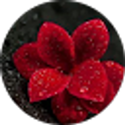 Profile photo of Avadeen Dilworth