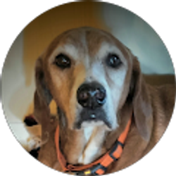 Profile photo of James Gaile ll