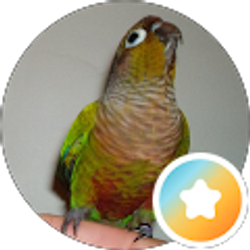 Profile photo of Kevin B