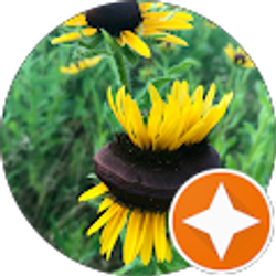 Profile photo of Ann