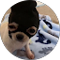 Profile photo of sarah Acosta