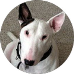 Profile photo of sarahzenlove