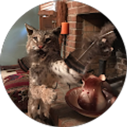 Profile photo of Tommy Smith