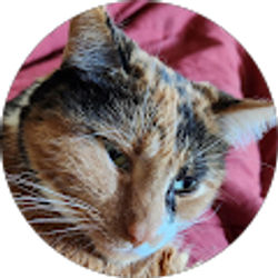 Profile photo of Cameron Scovern