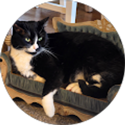 Profile photo of Sharon Jeschke