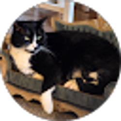 Profile photo of Sharon Jeschke