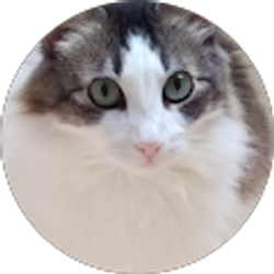 Profile photo of Karen Didion