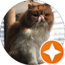 Profile photo of James Greene