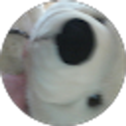Profile photo of Gabby Smith