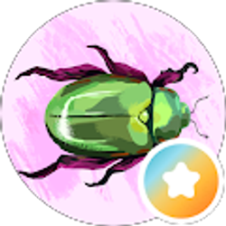 Profile photo of Thankful Greatful