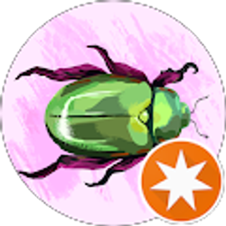 Profile photo of Thankful Greatful