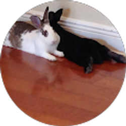 Profile photo of Jennifer