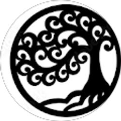 Profile photo of Misty Carr