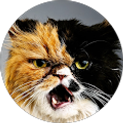 Profile photo of K Bodine