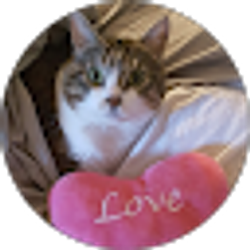Profile photo of Teresa Long