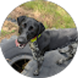 Profile photo of Lane Lowry