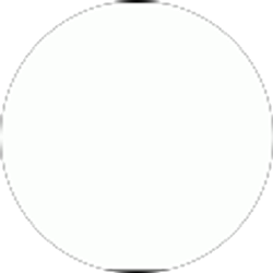 Profile photo of Alise Nikitenko