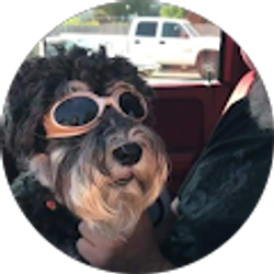 Profile photo of Dave MOLITOR