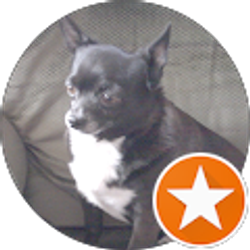 Profile photo of Paul