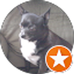 Profile photo of Paul