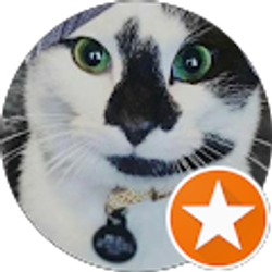 Profile photo of Katty Kane