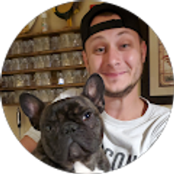 Profile photo of Alex Morello