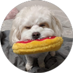 Profile photo of Dennis Ong