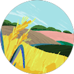 Profile photo of said araujo ulloa