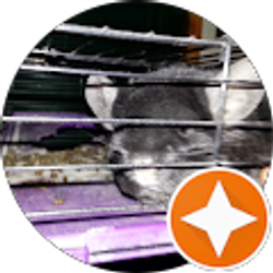 Profile photo of Gregory Conaway