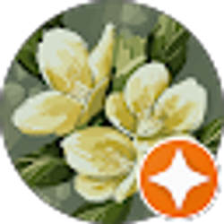 Profile photo of samy florida