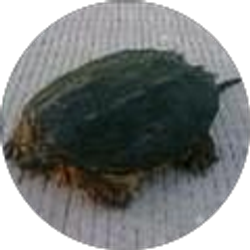 Profile photo of Jason Klausing