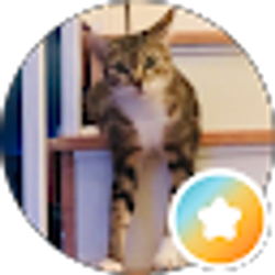 Profile photo of ANN AMEN
