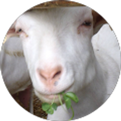 Profile photo of Samuel Rosas