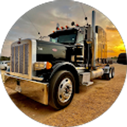 Profile photo of Damian