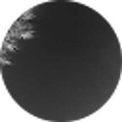 Profile photo of Reece Palmer
