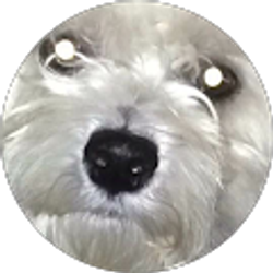 Profile photo of Angel Ahuatzi