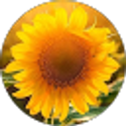 Profile photo of Sarah B