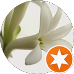 Profile photo of Tuberose