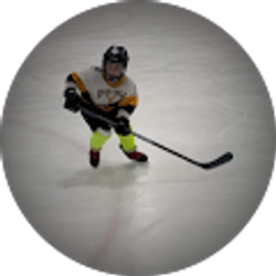 Profile photo of R Panzer