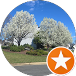 Profile photo of Suaad Saleh