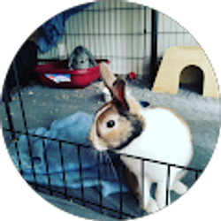 Profile photo of Mason