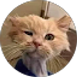 Profile photo of Raymond Castaneda sr