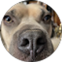 Profile photo of Anthony Pratt