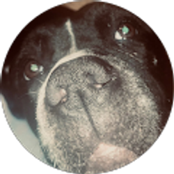 Profile photo of A M