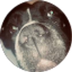 Profile photo of A M