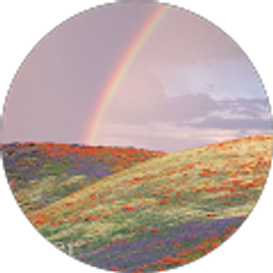 Profile photo of Kyla Sankey