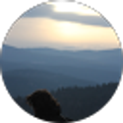 Profile photo of Austin Mayer-Gillis