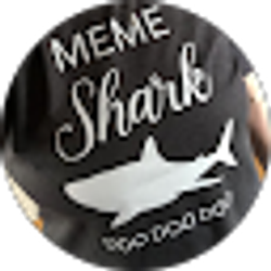 Profile photo of Heidi Fisher