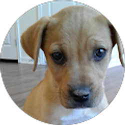 Profile photo of Steven Drake