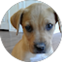 Profile photo of Steven Drake